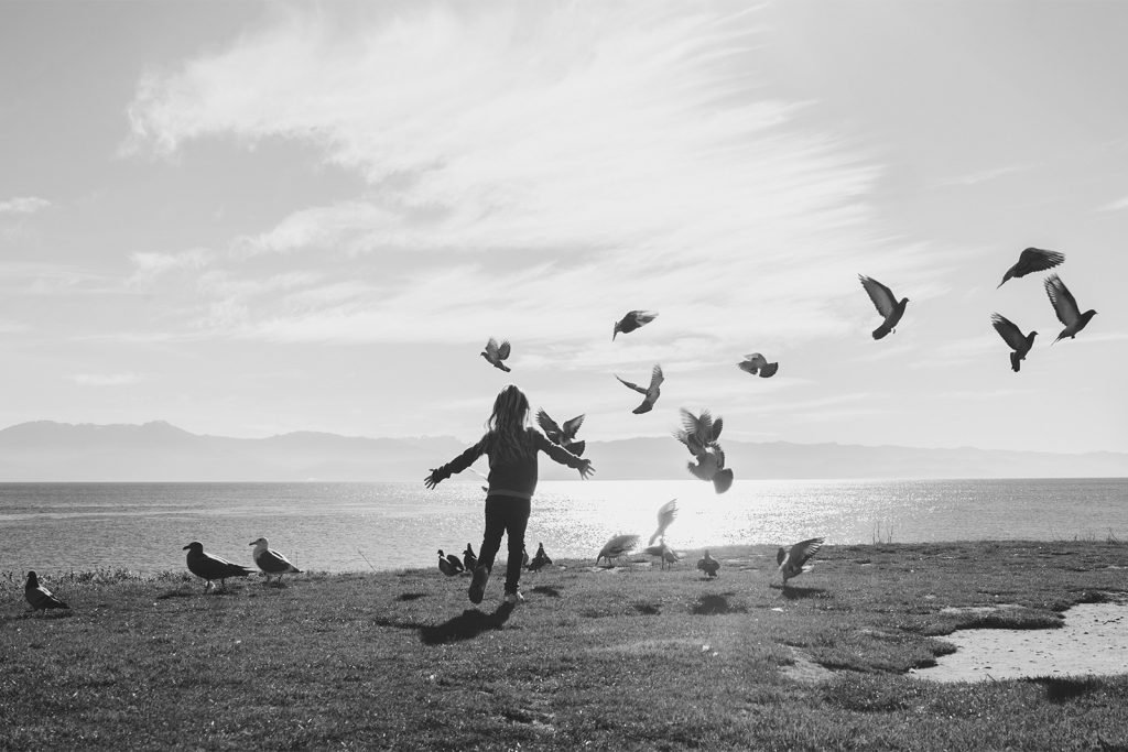 Duttons Property Management eclipse360 Advertising and Digital